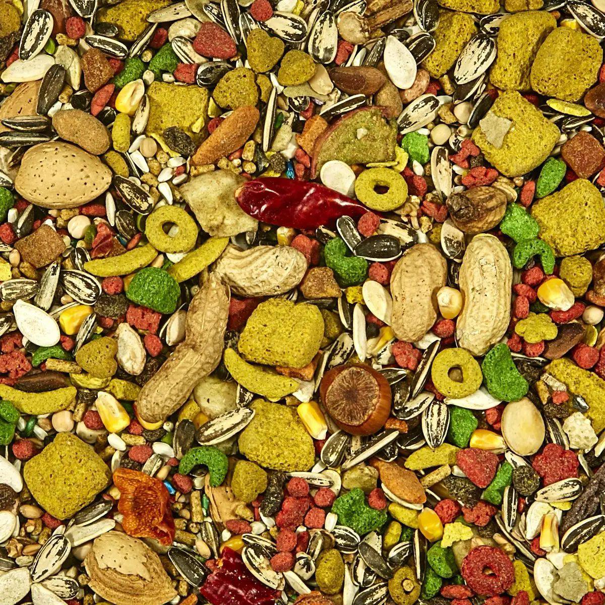 Parrot Feed